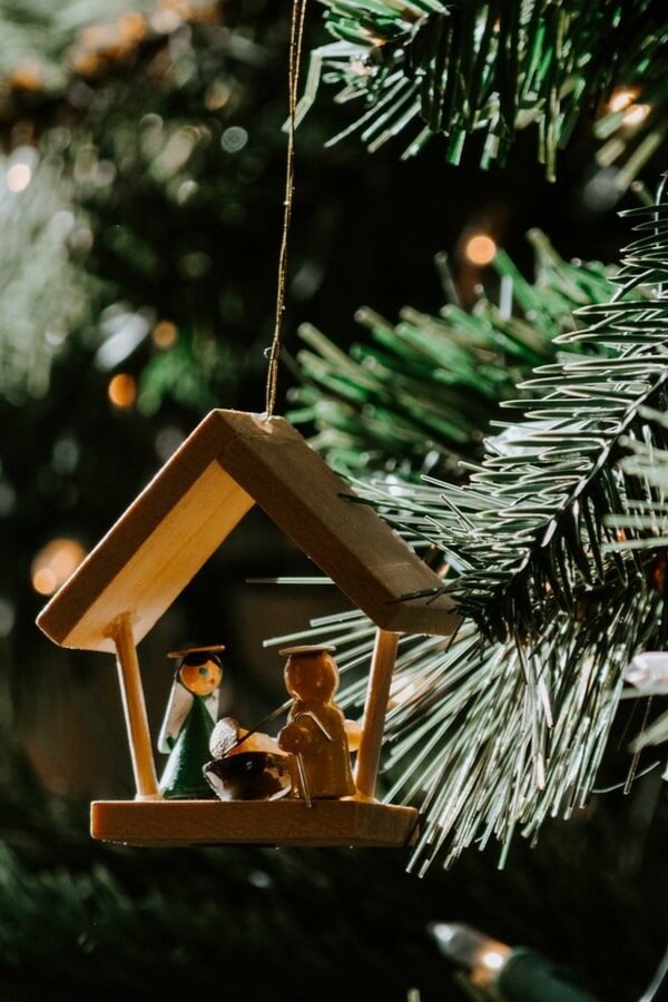 Tall trees and tall&nbsp;tales