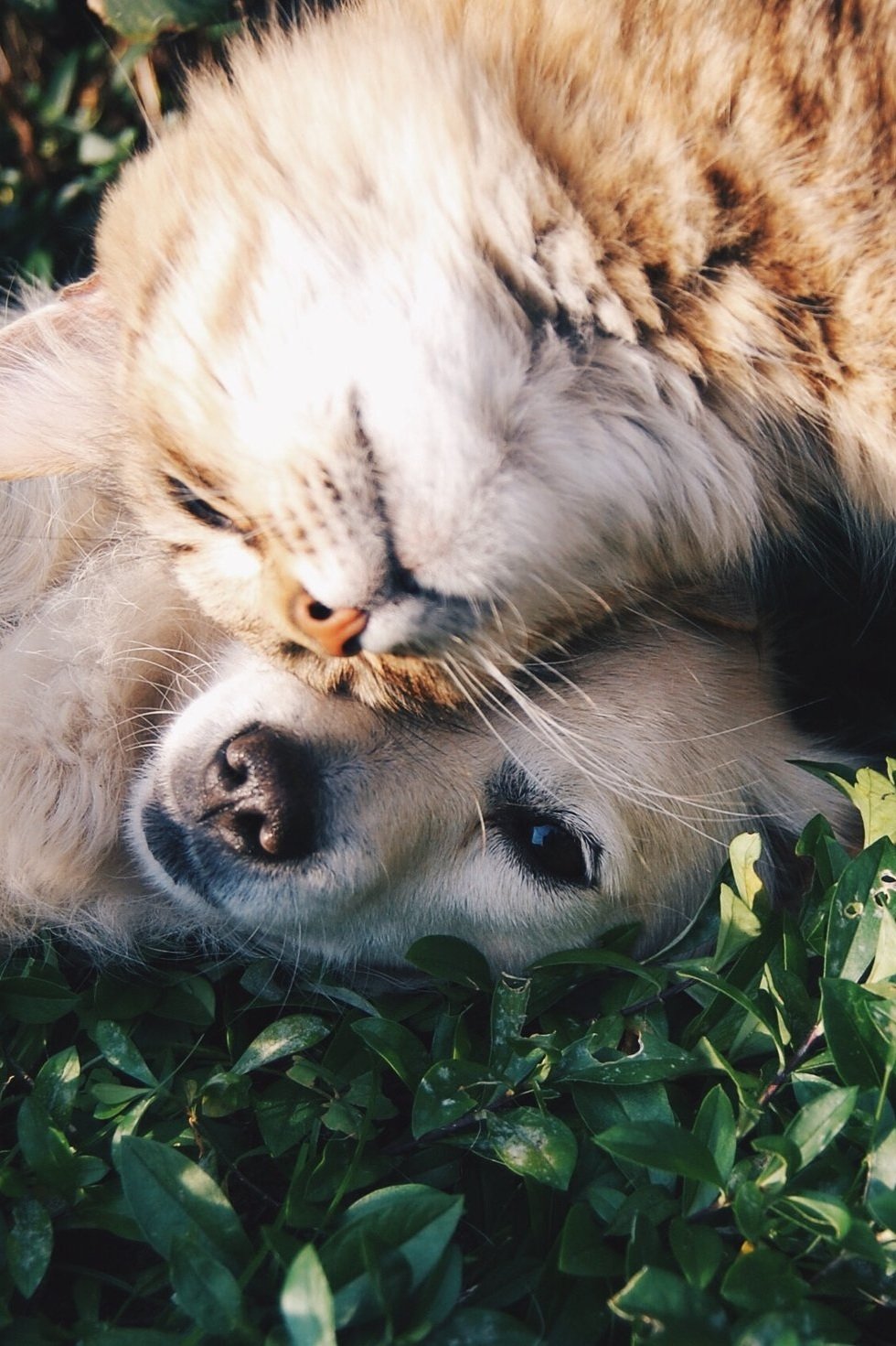 Hold onto your&nbsp;friends